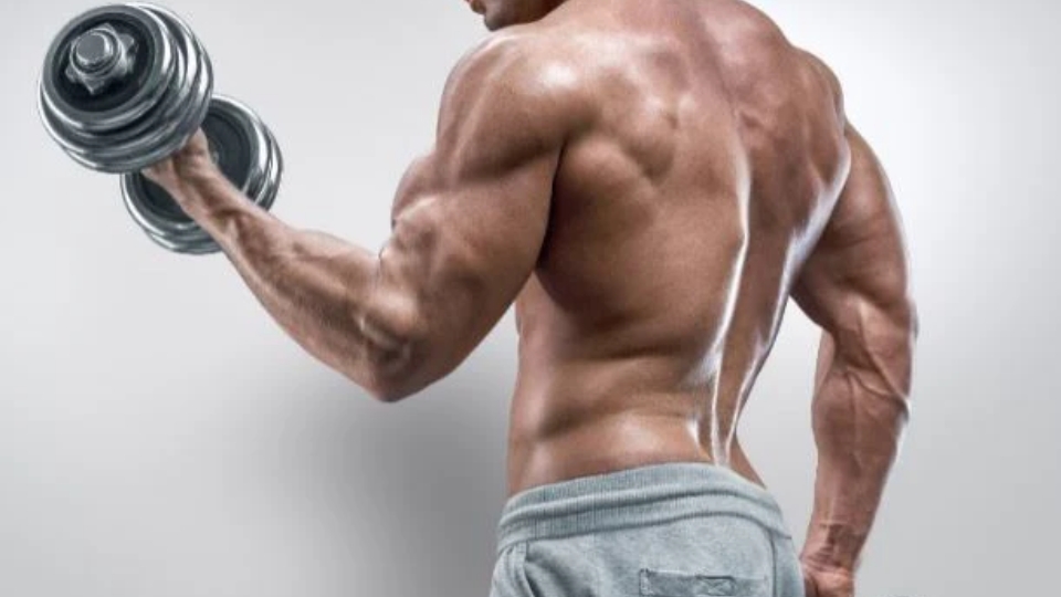 PHARMAPRIM 100 for sale